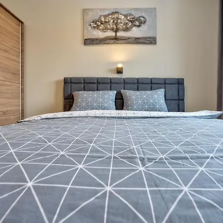 Apartment 41